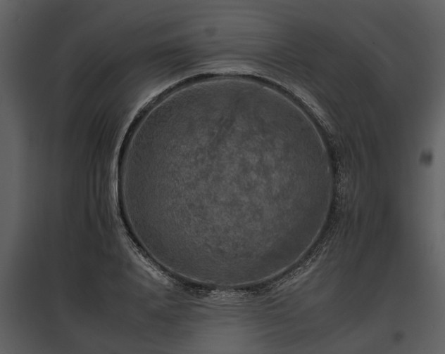 X0000095670840200801151102