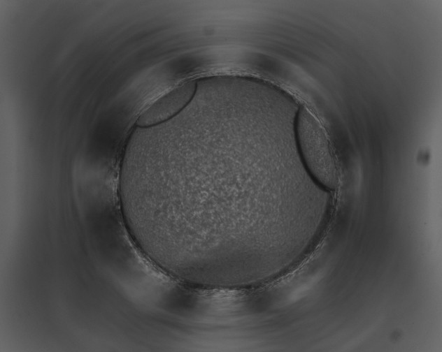 X0000095670841200801151102