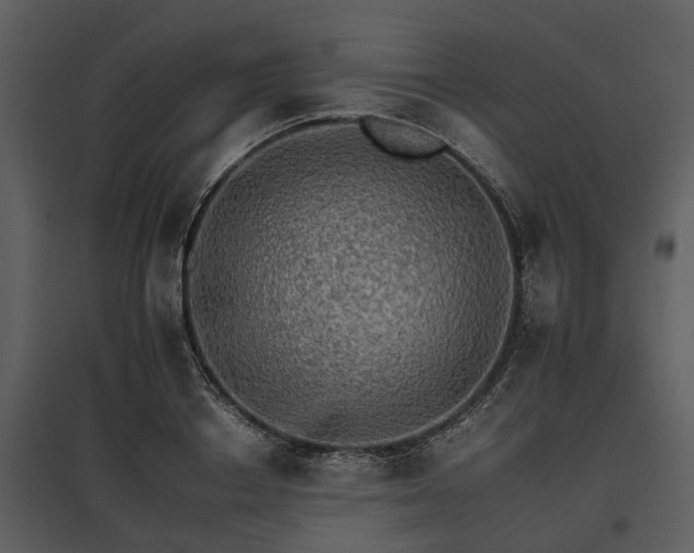 X0000095670842200801151102