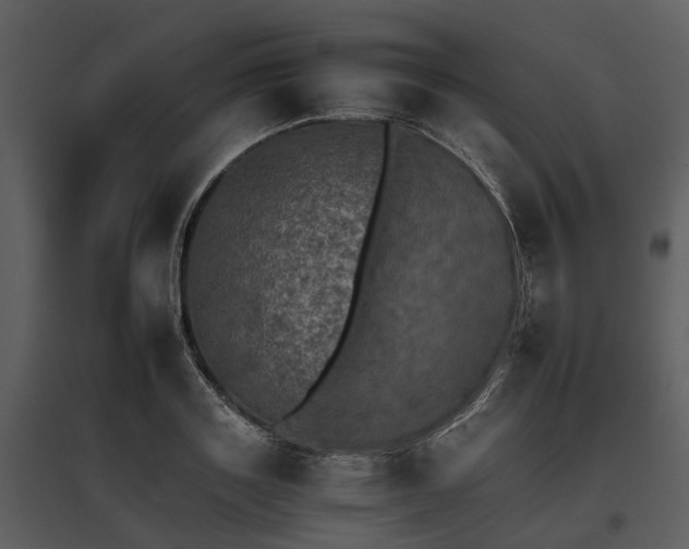 X0000095670843200801151102