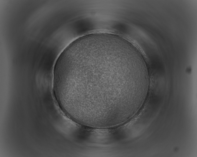 X0000095670844200801151102