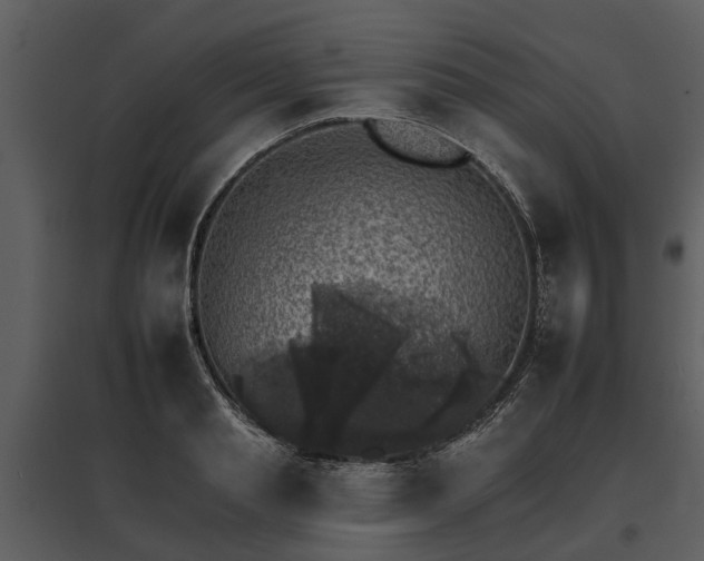 X0000095670845200801151102