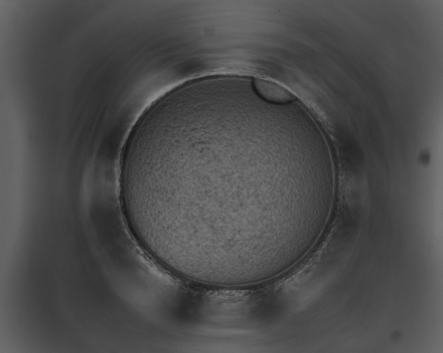 X0000095670846200801151102