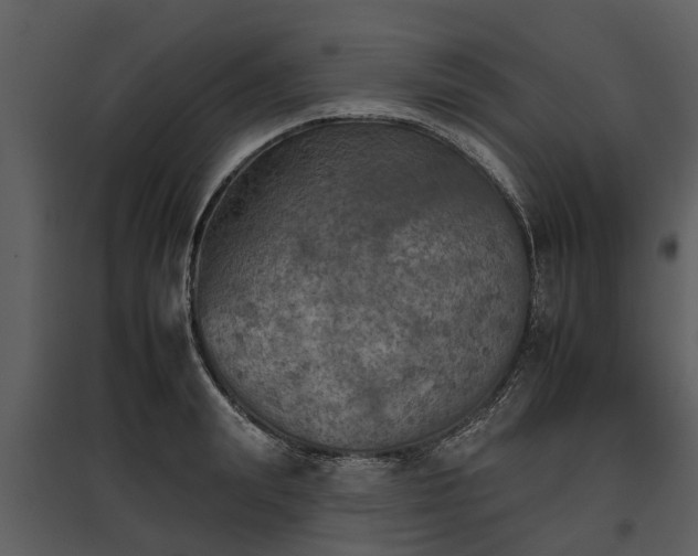 X0000095670847200801151102