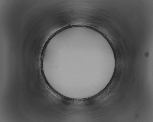 X0000095670848200801151102