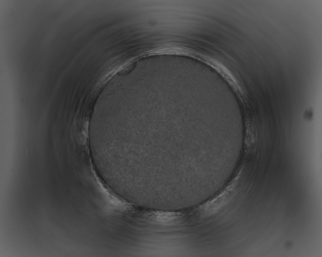 X0000095670849200801151102