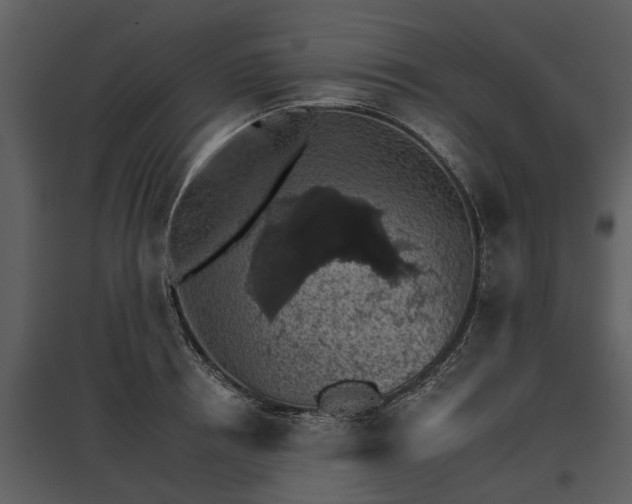 X0000095670850200801151102