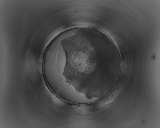 X0000095670851200801151102