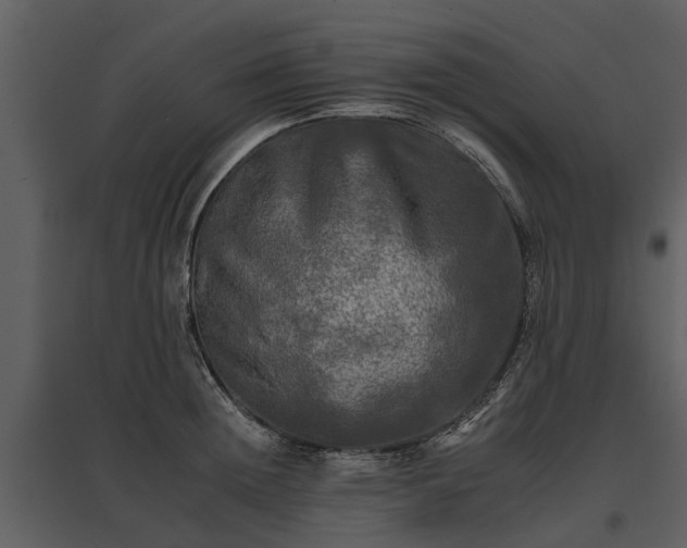 X0000095670852200801151102