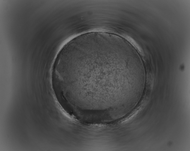 X0000095670854200801151102