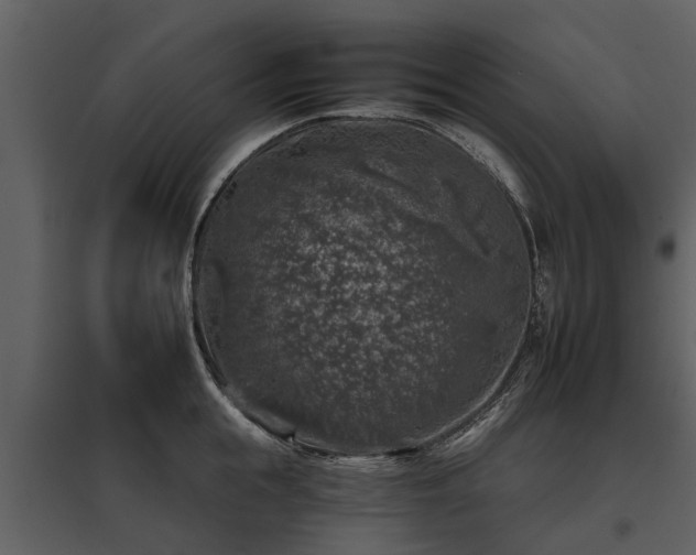 X0000095670855200801151102