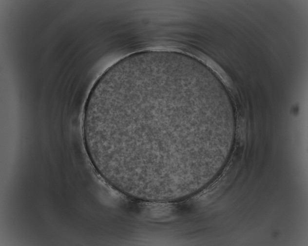 X0000095670856200801151102