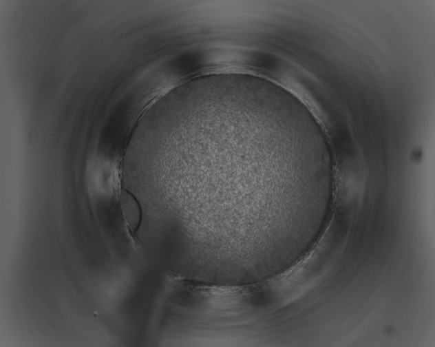 X0000095670857200801151102