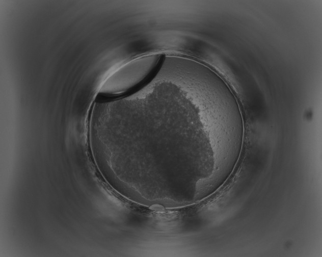 X0000095670858200801151102