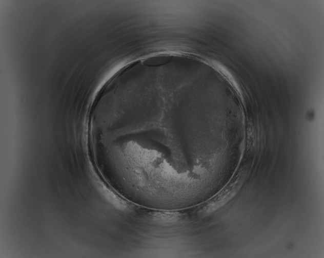 X0000095670859200801151102