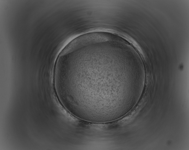 X0000095670860200801151102