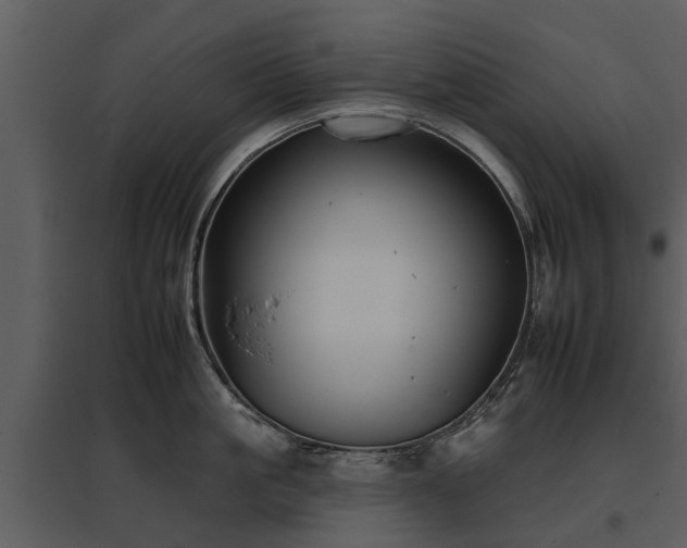 X0000095670861200801151102