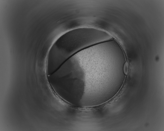 X0000095670862200801151102