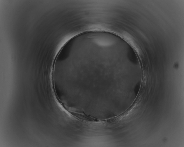 X0000095670863200801151102