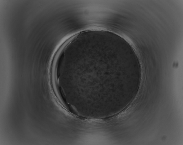 X0000095670864200801151102