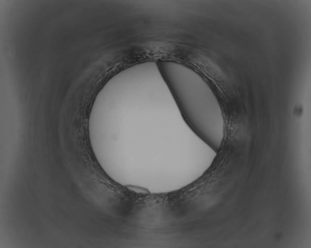 X0000095670865200801151102