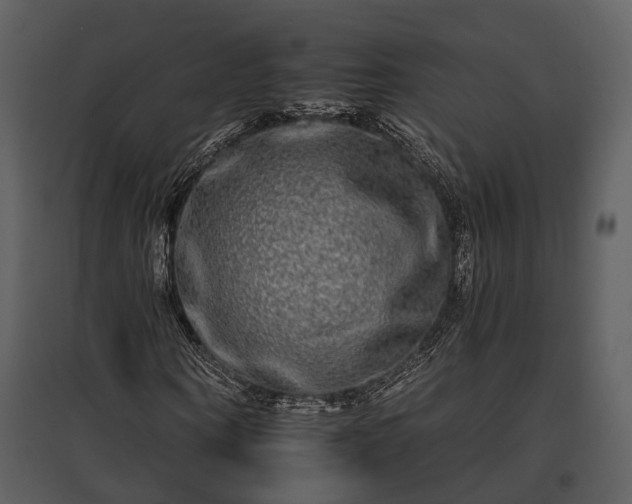 X0000095670866200801151102