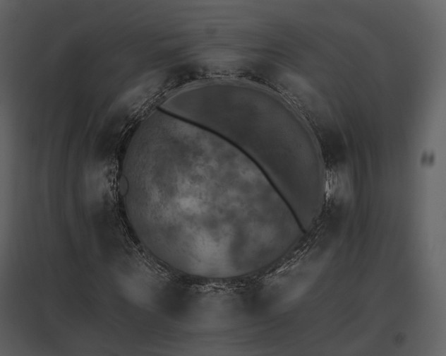 X0000095670867200801151102