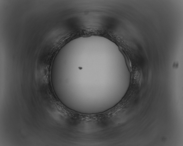 X0000095670868200801151102