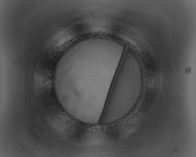 X0000095670869200801151102