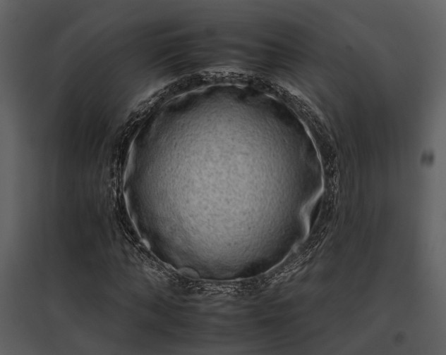 X0000095670870200801151102