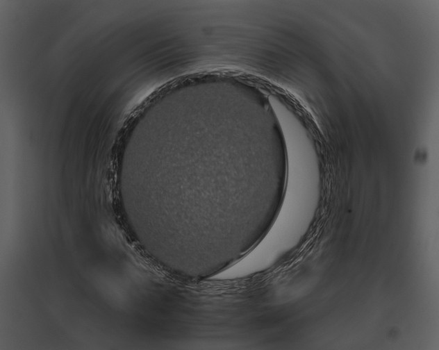 X0000095670871200801151101