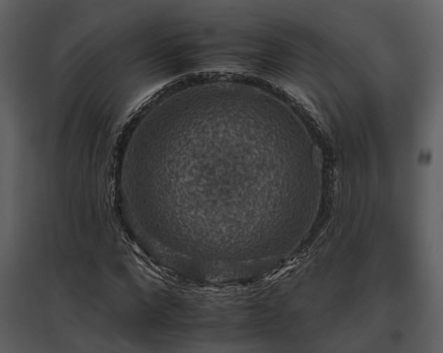 X0000095670872200801151101