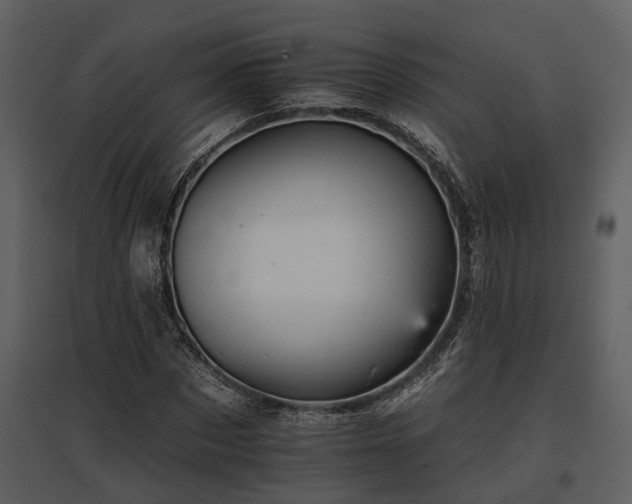 X0000095670873200801151101