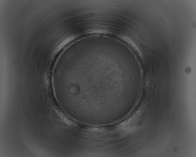 X0000095670874200801151101