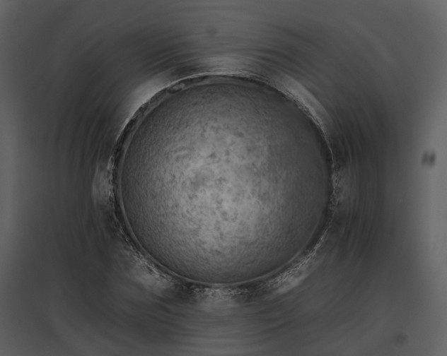 X0000095670875200801151101