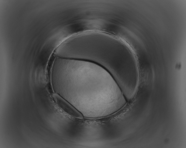 X0000095670876200801151101