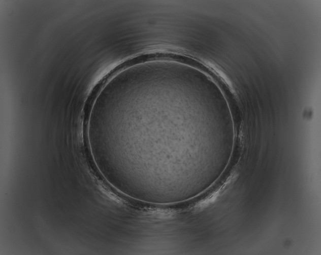 X0000095670877200801151101