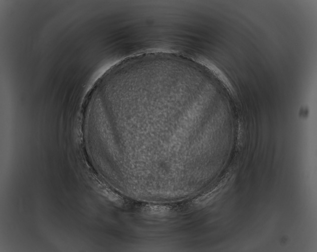 X0000095670878200801151101