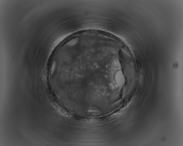 X0000095670879200801151101