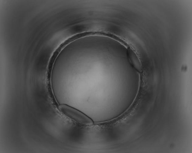 X0000095670880200801151101