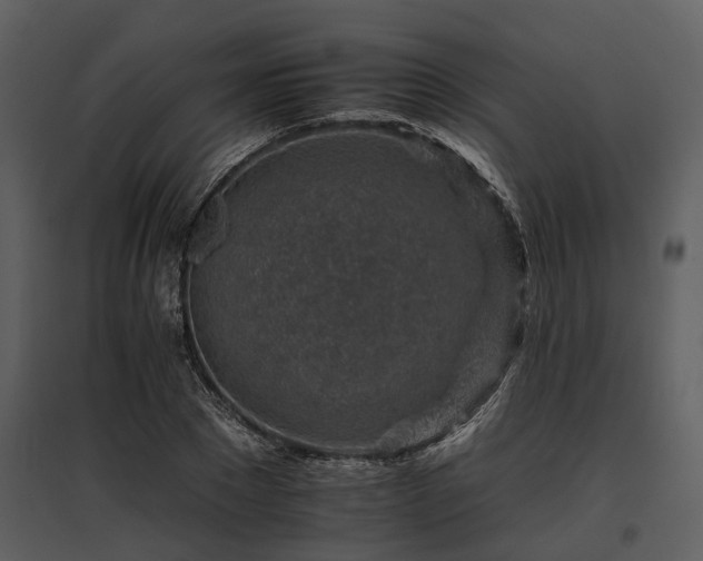 X0000095670881200801151101