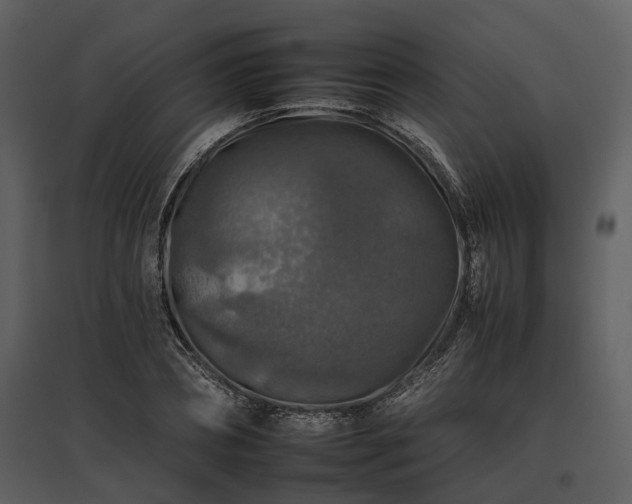 X0000095670882200801151101