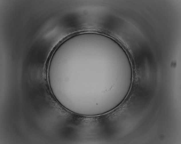 X0000095670883200801151101