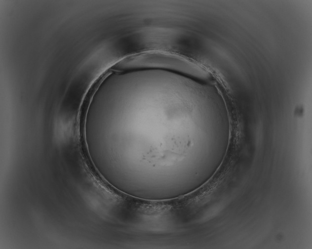 X0000095670884200801151101