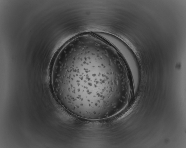 X0000095670885200801151101