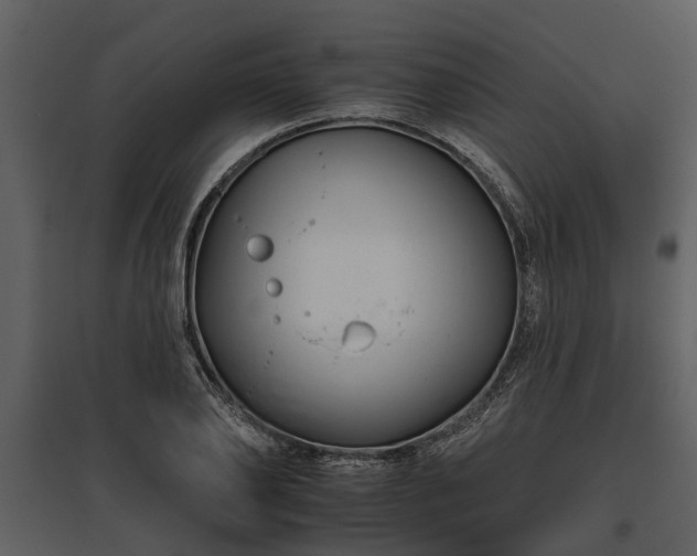 X0000095670886200801151101