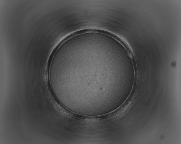 X0000095670887200801151101