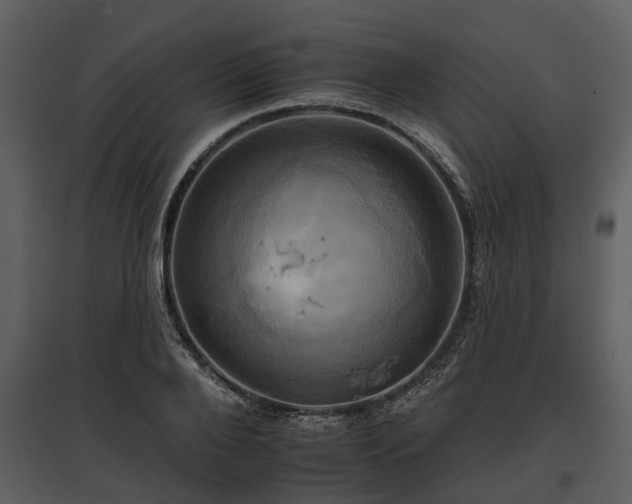 X0000095670888200801151101