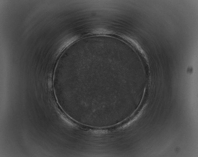 X0000095670889200801151101