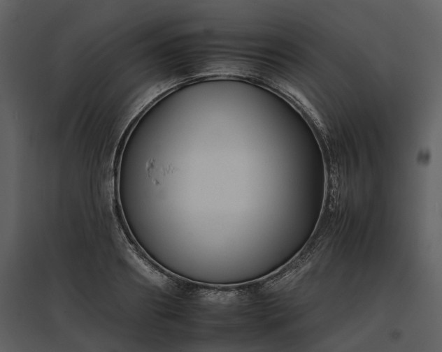 X0000095670890200801151101